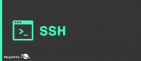 SSH چیست و چگونه کار می کند