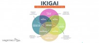 فلسفه ایکیگای - Ikigai در زندگی و کار