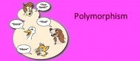 پلی مورفیسم Polymorphism